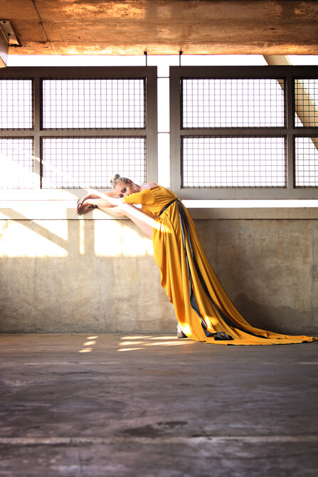 The Traveling Dress 1