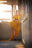 The Traveling Dress 11