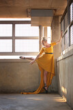 The Traveling Dress 12