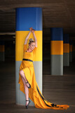 The Traveling Dress 3