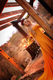 The Traveling Dress 63