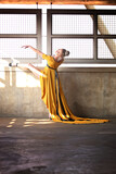 The Traveling Dress 8