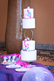 Royal Elephant Styled Shoot 109