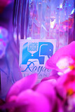 Royal Elephant Styled Shoot 42