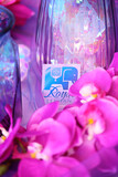 Royal Elephant Styled Shoot 43