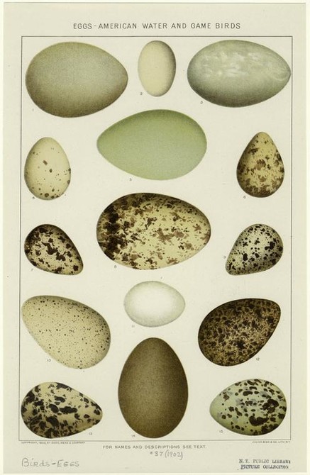 Products and Prints 38