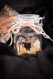 Products and Prints 24