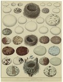 Products and Prints 39