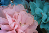 Products and Prints 47