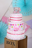 Nappy Cakes 31
