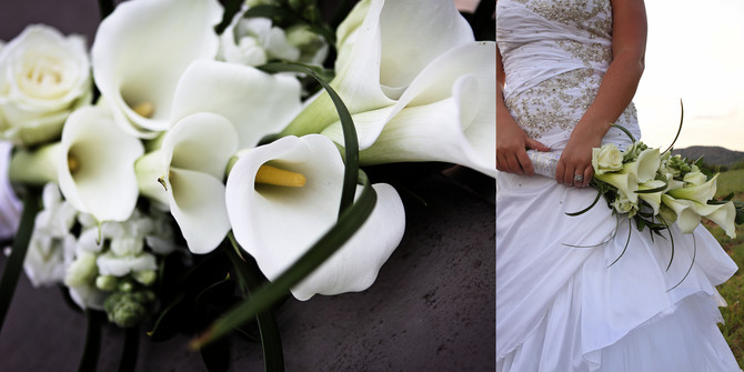 Nadene and Francois 12