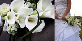 Nadene and Francois 12
