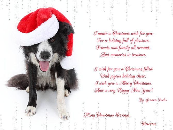 Christmas Cards 16