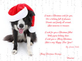 Christmas Cards 16