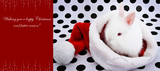 Christmas Cards 17