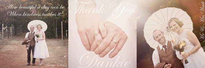 Thank You Cards 2