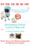 Posters and Advertisements 15