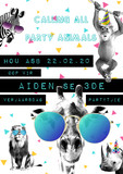 Invitations 12