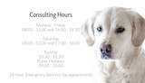 Logos and Business Cards 13