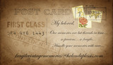 Logos and Business Cards 31