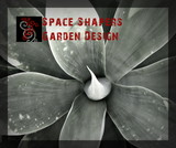 Logos and Business Cards 36