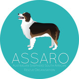Logos and Business Cards 5