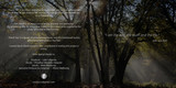 Cd Covers 3